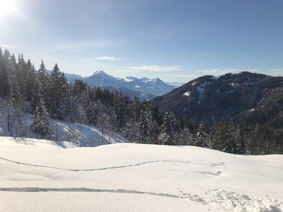 Appartement Cosy 3/4 Personnes A 5 Min Des Pistes. Saint-Jean-dʼAulps Εξωτερικό φωτογραφία