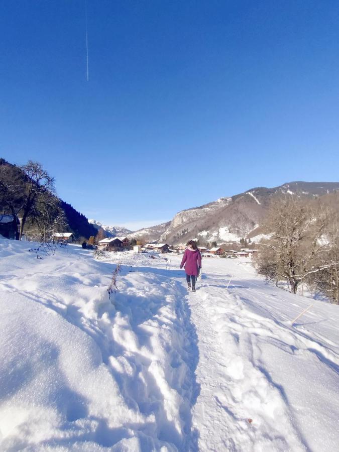 Appartement Cosy 3/4 Personnes A 5 Min Des Pistes. Saint-Jean-dʼAulps Εξωτερικό φωτογραφία